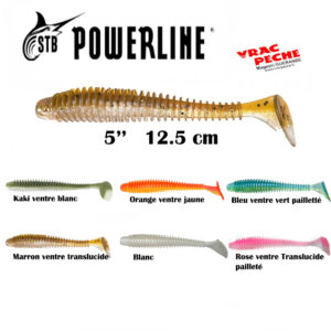 Leurre souple LTS 5'' 12.5 cm powerline