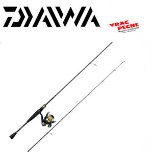 Ensemble daiwa RS 742 HMHFS 224 10/35g